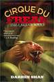 Cirque Du Freak #10: The Lake of Souls: Book 10 in the Saga of Darren Shan