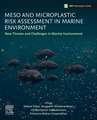 Meso and Microplastic Risk Assessment in Marine Environments: New Threats and Challenges