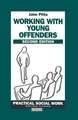 Working with Young Offenders