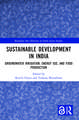 Sustainable Development in India: Groundwater Irrigation, Energy Use, and Food Production