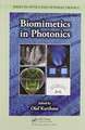 Biomimetics in Photonics