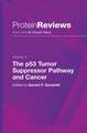 The p53 Tumor Suppressor Pathway and Cancer