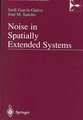 Noise in Spatially Extended Systems