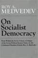 On Socialist Democracy