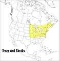 A Peterson Field Guide To Trees And Shrubs: Northeastern and north-central United States and southeastern and south-centralCanada