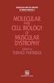 Molecular and Cell Biology of Muscular Dystrophy