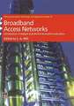 Broadband Access Networks: Introduction Strategies and Techno-economic Evaluation