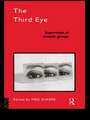 The Third Eye: Supervision of Analytic Groups