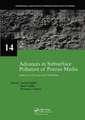 Advances in Subsurface Pollution of Porous Media - Indicators, Processes and Modelling: IAH selected papers, volume 14