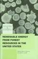 Renewable Energy from Forest Resources in the United States