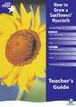 Rigby Star Shared Year 1 Non-Fiction: How to Grow a Sunflower / Hyacinth Teachers Guide