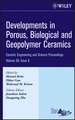 Developments in Porous, Biological and Geopolymer Ceramics V28 9