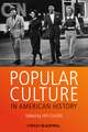 Popular Culture in American History