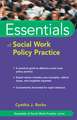 Essentials of Social Work Policy Practice