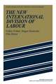 The New International Division of Labour: Structural Unemployment in Industrialised Countries and Industrialisation in Developing Countries