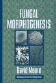 Fungal Morphogenesis