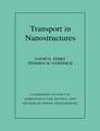 Transport in Nanostructures