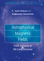 Astrophysical Magnetic Fields: From Galaxies to the Early Universe