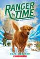 Race to the South Pole (Ranger in Time #4): A Branches Book (Princess Pink and the Land of Fake-Believe #2)