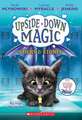 Sticks & Stones (Upside-Down Magic #2)