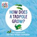 How Does a Tadpole Grow?