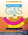 Natural Gas: Consumers and Consuming Industry: 3