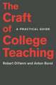 The Craft of College Teaching – A Practical Guide