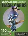 Backyard Birds Flash Cards– Eastern & Central North America