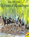 Rabbits and Raindrops