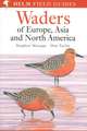 Waders of Europe, Asia and North America