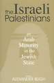 The Israeli Palestinians: An Arab Minority in the Jewish State