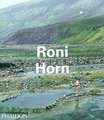 Roni Horn: The City and Its Architecture