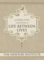 Llewellyn's Little Book of Life Between Lives