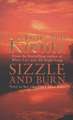 SIZZLE & BURN JAYNE ANN KRENTZ