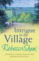 Intrigue In The Village