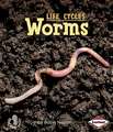 Worms