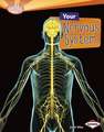 Your Nervous System