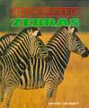 Zebras