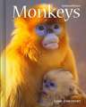 Monkeys