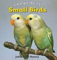 Small Birds