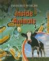 Inside Animals