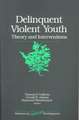 Delinquent Violent Youth: Theory and Interventions