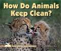 How Do Animals Keep Clean?