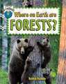 Where on Earth Are Forests?