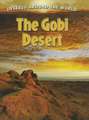 The Gobi Desert