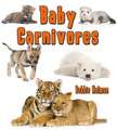 Baby Carnivores