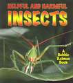 Helpful and Harmful Insects