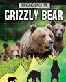 Grizzly Bear