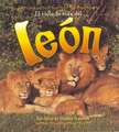 El Ciclo de Vida del Leon = Life Cycle of a Lion