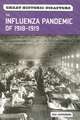 The Influenza Pandemic of 1918-1919